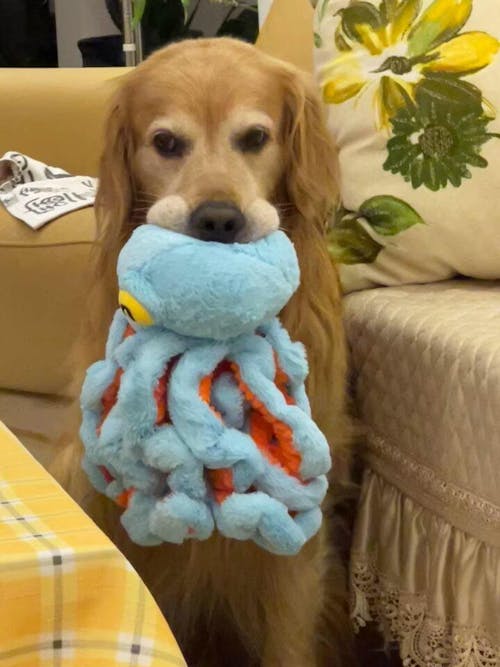 The Jolly Octopus – Squeaky Tug & Chew Toy