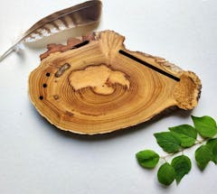 SaPeDi