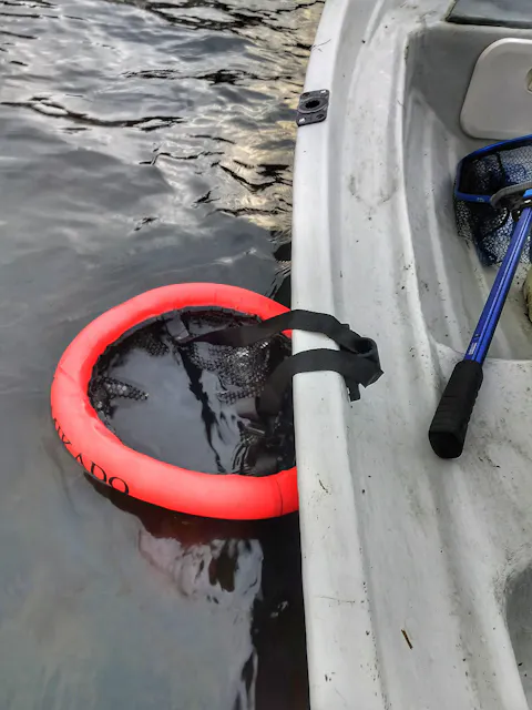 Mikado kelluva sumppu 40 x 60 cm