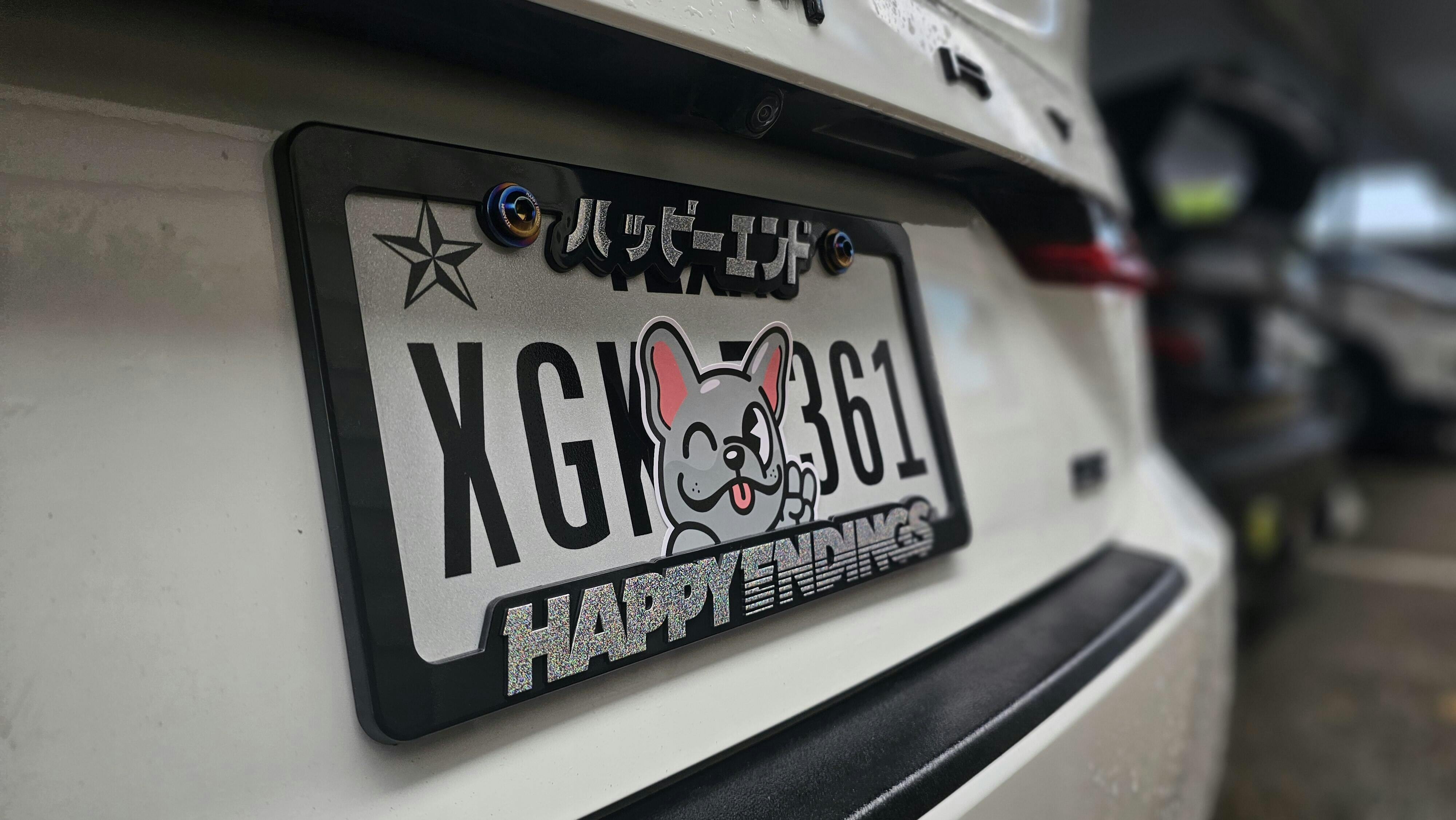 License Plate Frame - Purple Chrome Lettering (Black Frame