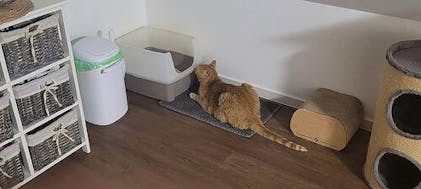 PawPal – Happy-Poppy