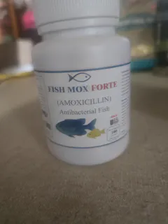 Review picture