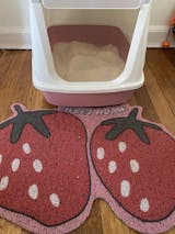 Cute Red Strawberry Cat Litter Mat | Happy & Polly | PVC Litter Box Mat | 23.6'' x 14.6