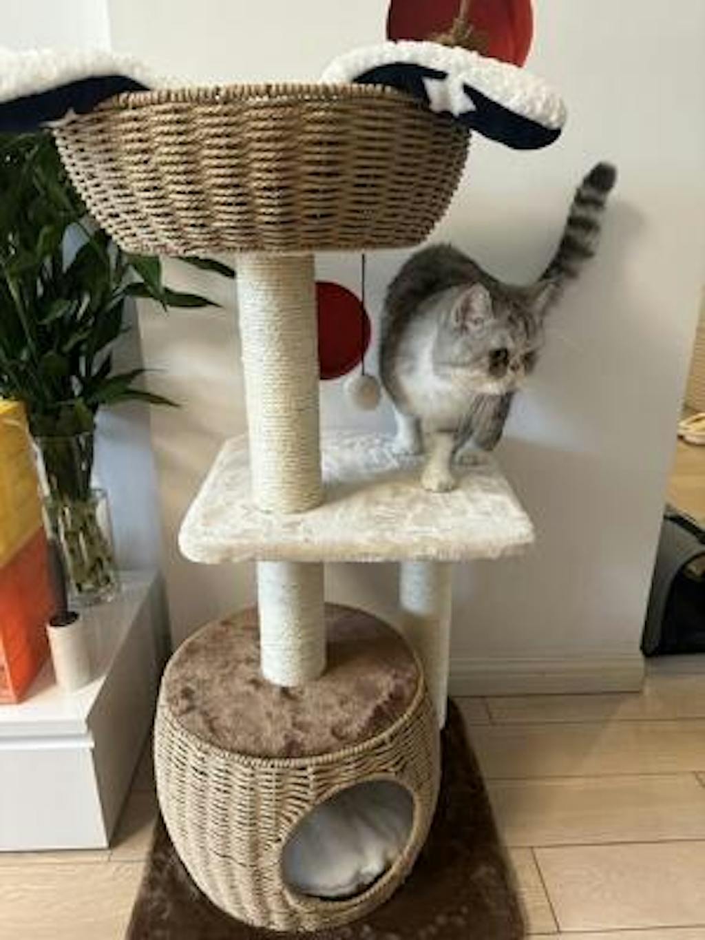 Brown Rattan Cat TreeN Happy & Polly