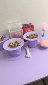 Cervical Protection Pet Bowl ,Unique Shape Design Bowl Party Bowl | Blue Party Bowl | Happy & Polly