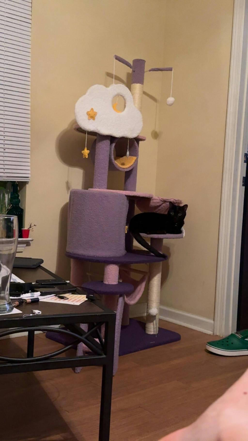 Moonlight Cat Tree – Happy & Polly