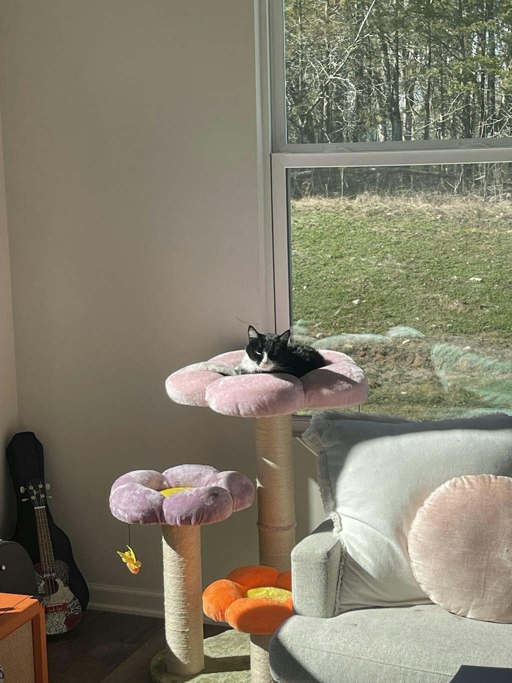 Three Flower Cat Tree