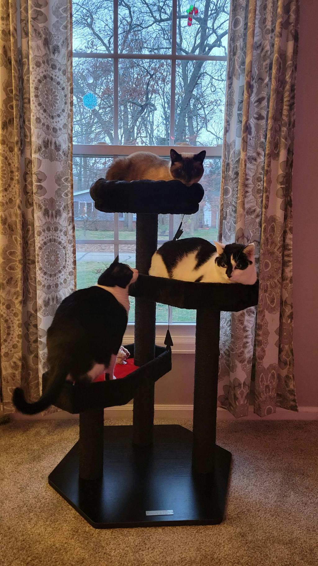 Gothic Style Cat Tree