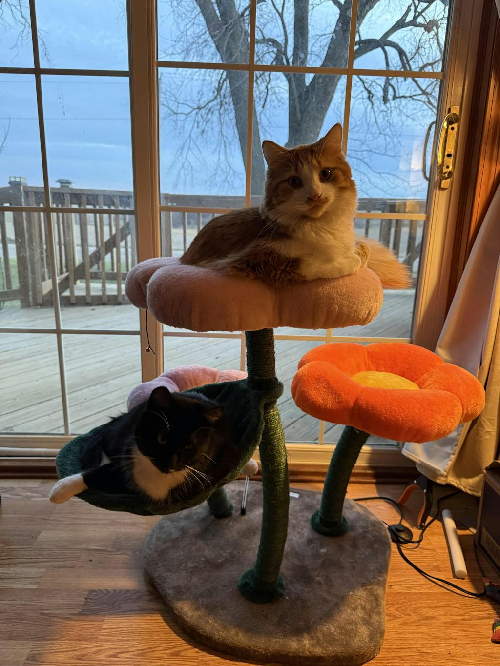 Bloomy Flower Cat Tree