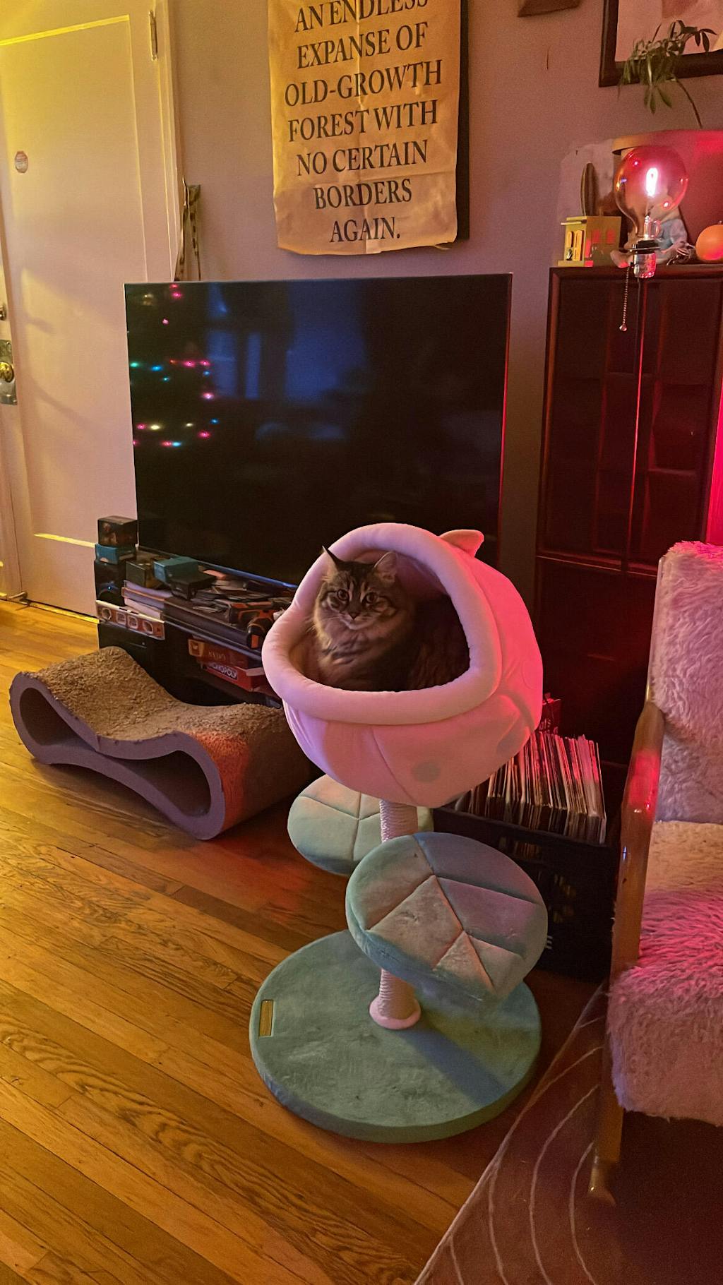 Monster World Cat Tree