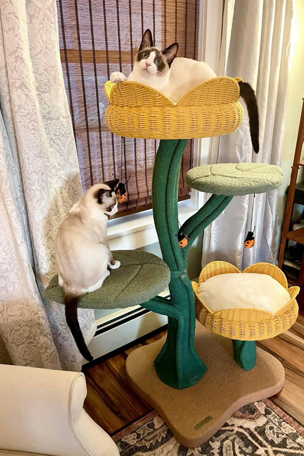Yellow Tulip Cat Tree