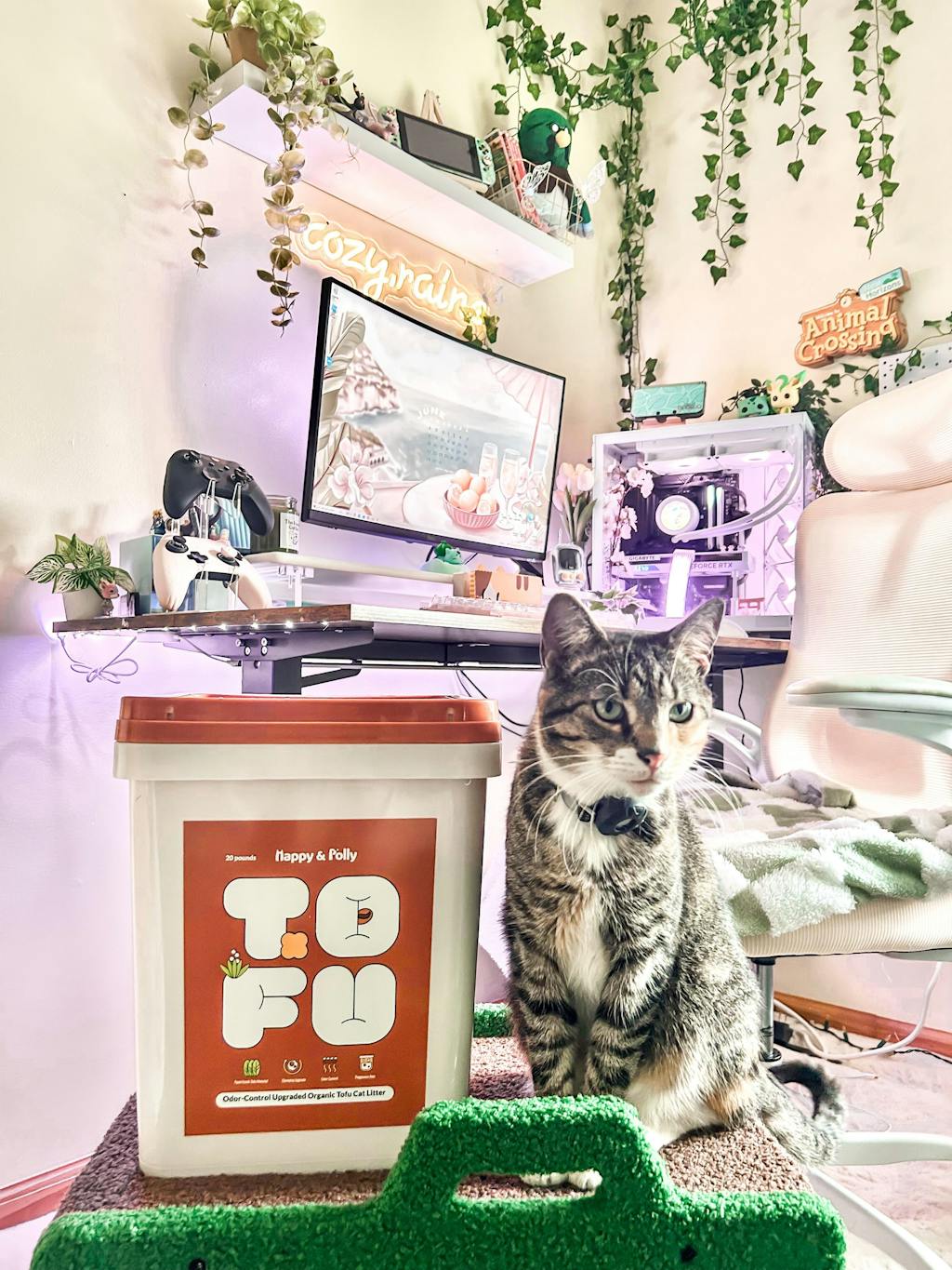 Plant-Based Tofu Litter with Triple Natural Deodorizers