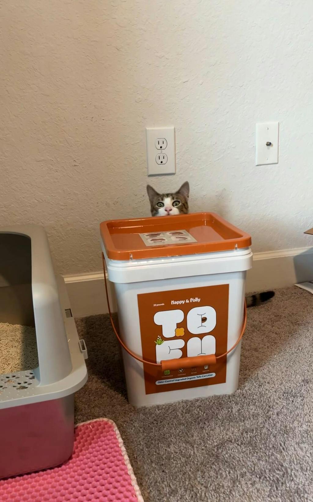 Plant-Based Tofu Litter with Triple Natural Deodorizers