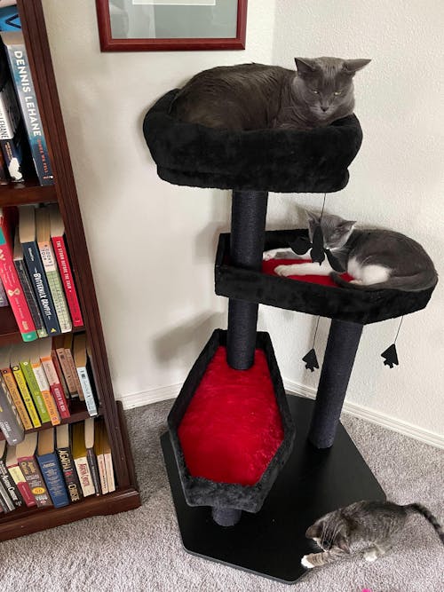Gothic Style Cat Tree