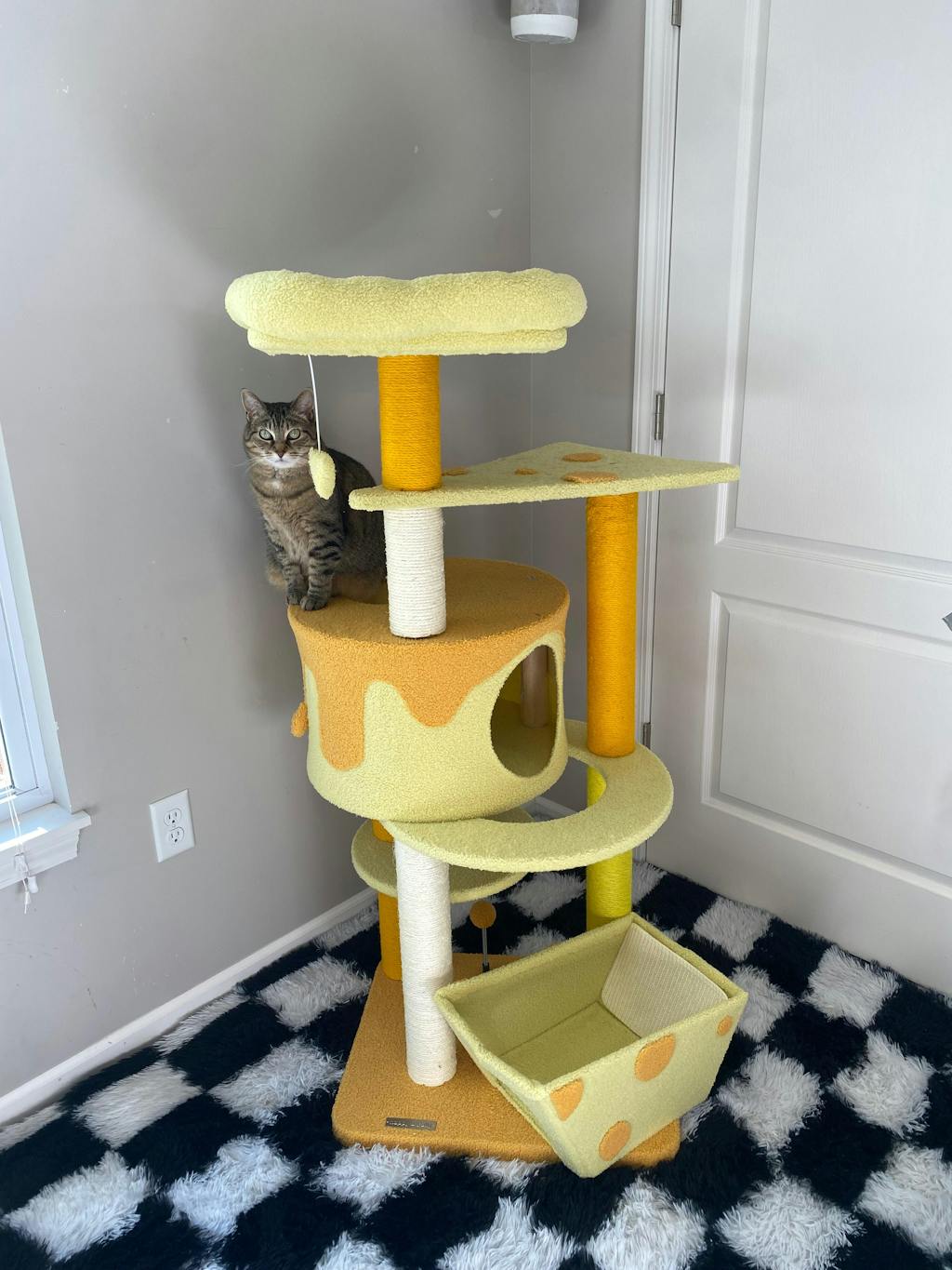 Transformable Cheese Cat Tree