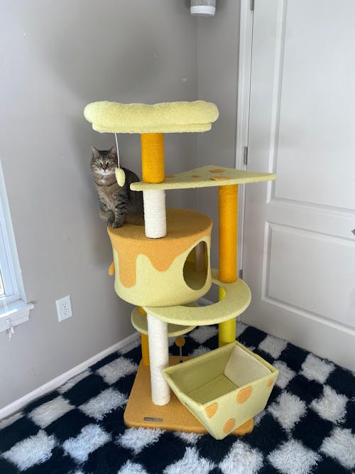 Transformable Cheese Cat Tree