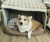 Cozy Dog House