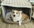 Cozy Dog House