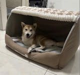 Cozy Dog House