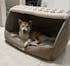 Cozy Dog House