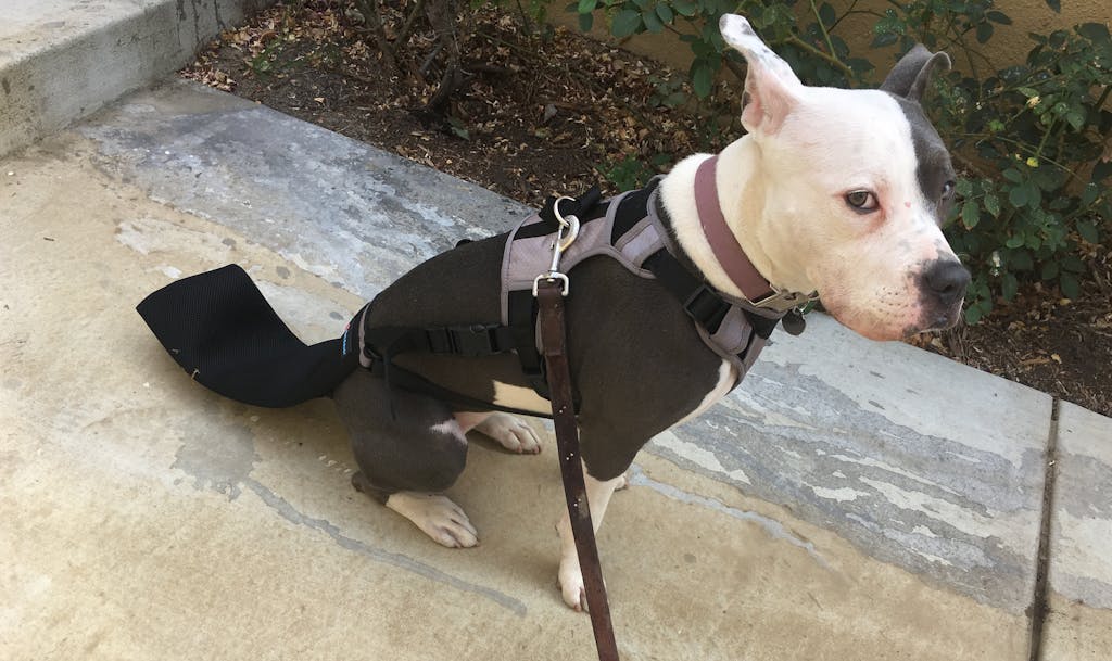 Replacement Tail Sleeve, a part of the TailSaver set. Happy TailSaver