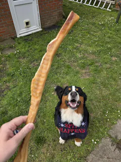 Review picture
