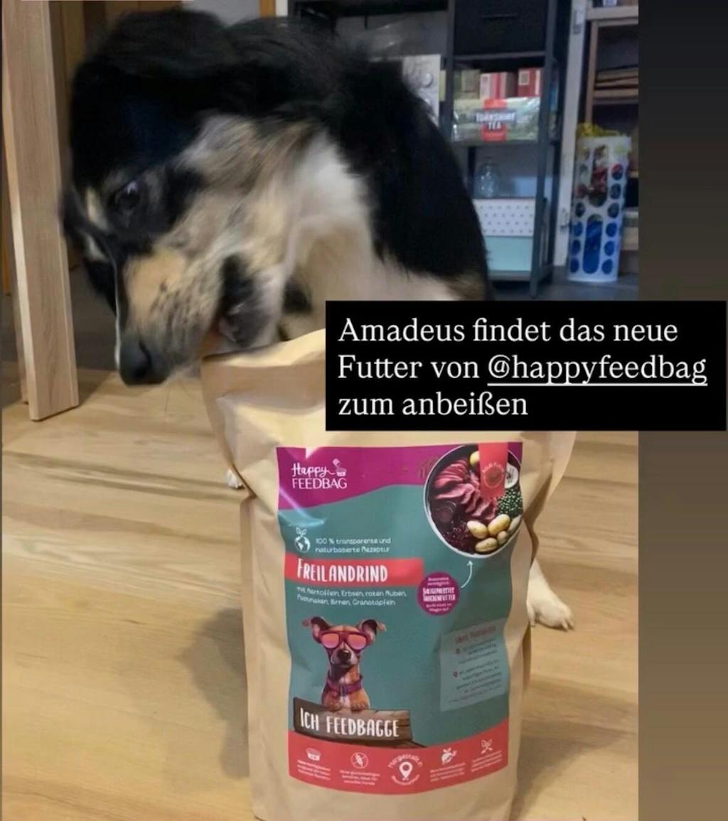 Freilandrind Trockenfutter