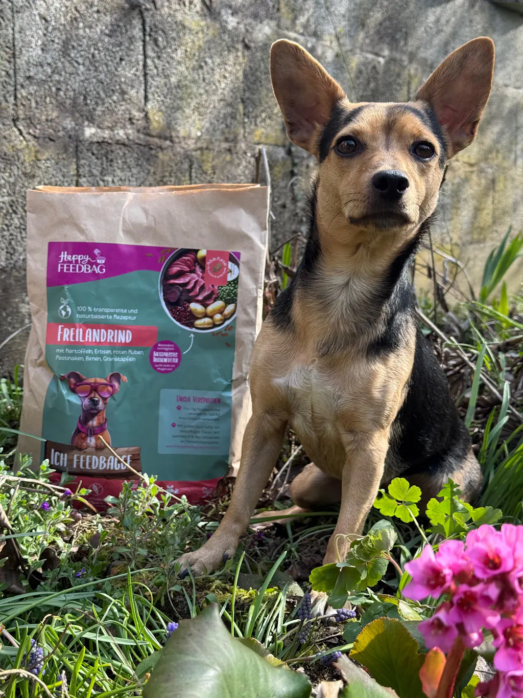 Freilandrind Trockenfutter