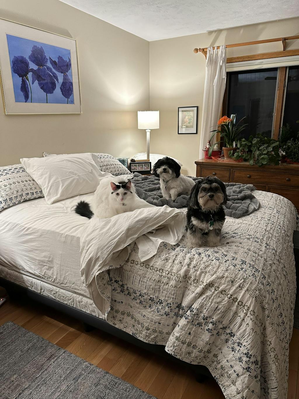 Natural Mattress Reviews Harbor Springs Mattress Co.