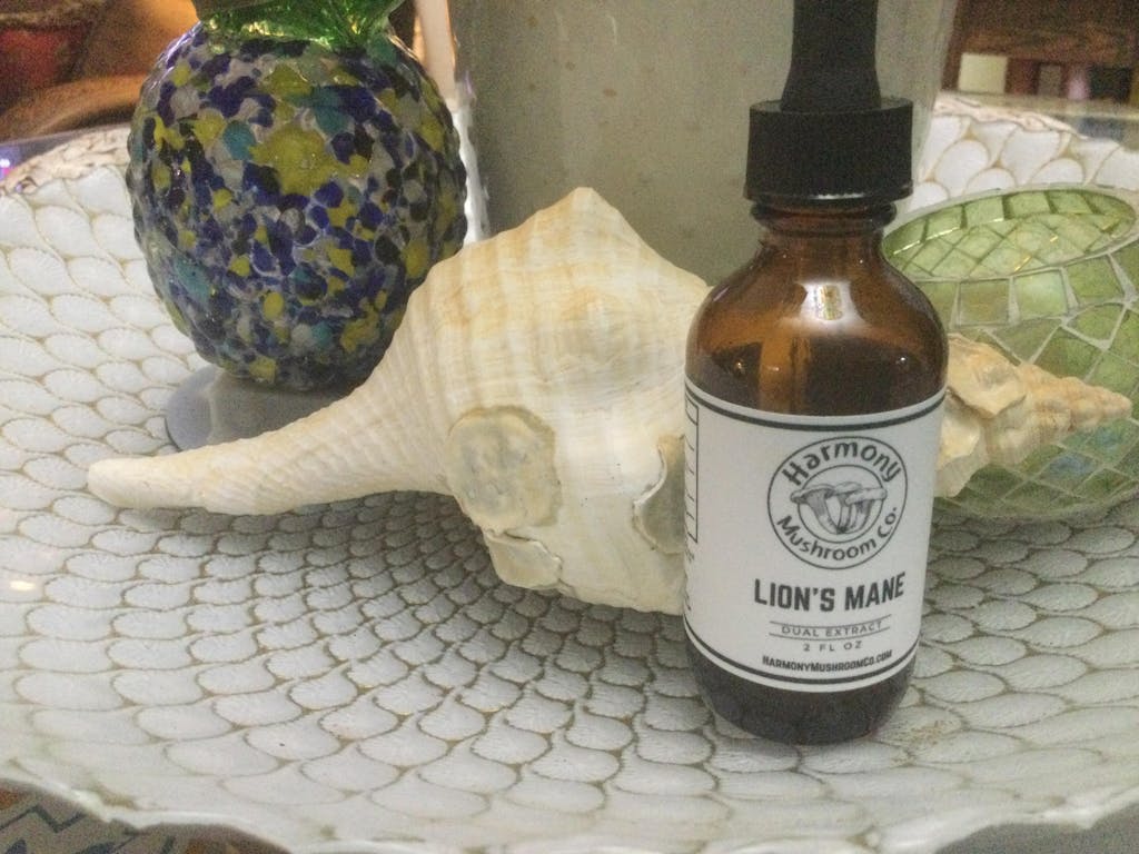 Lion's Mane Dual Extract