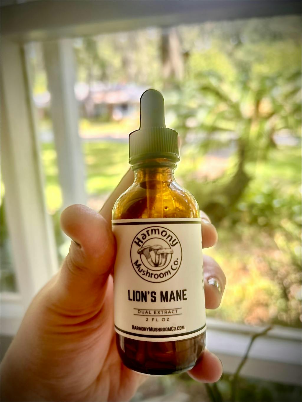 Lion's Mane Dual Extract