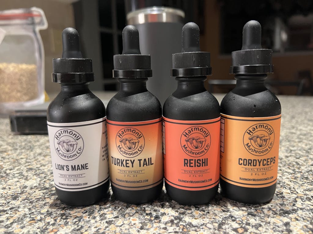 Lion's Mane Dual Extract