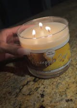 Pineapple Sage 3 Wick Candle
