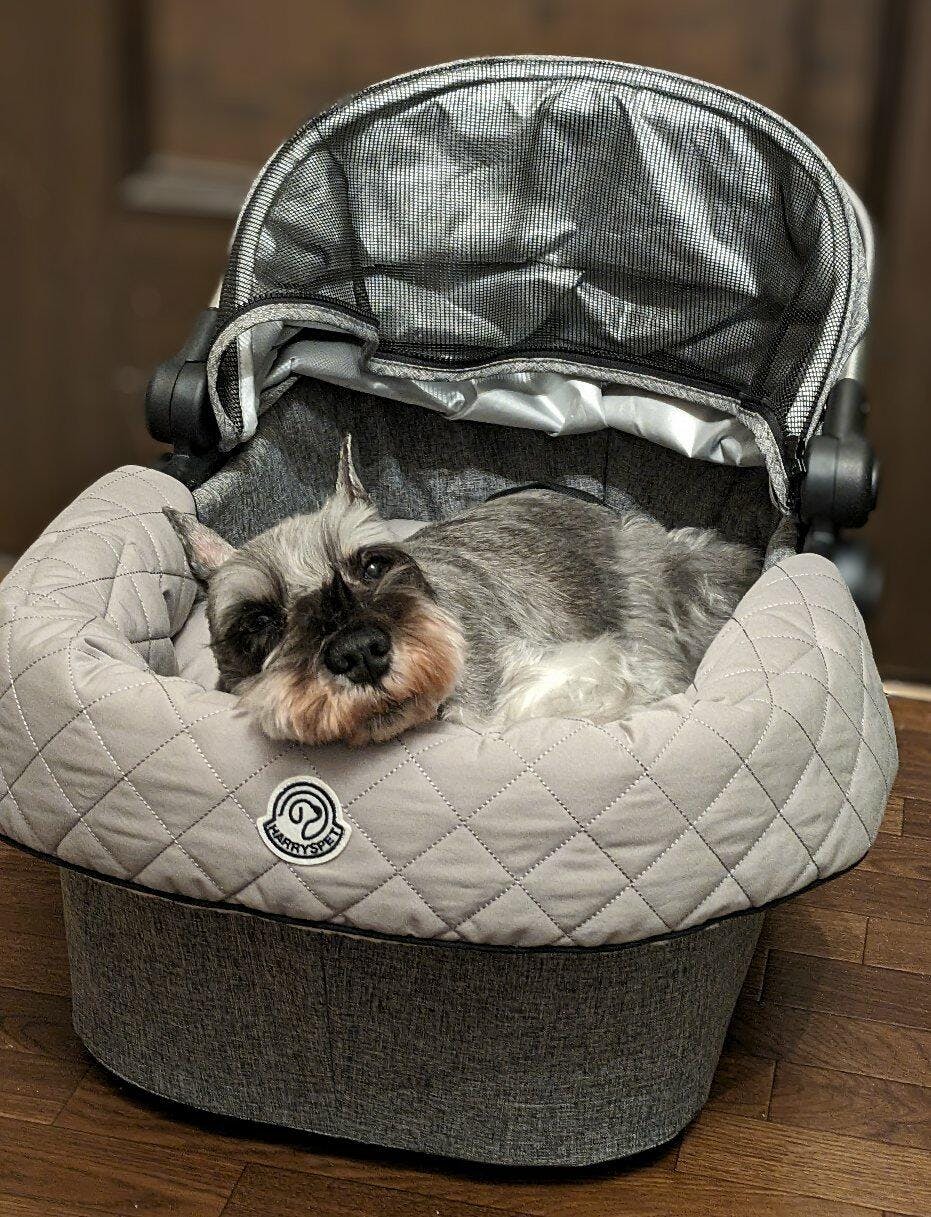 コンフォーター プリエ、 Grey グレー