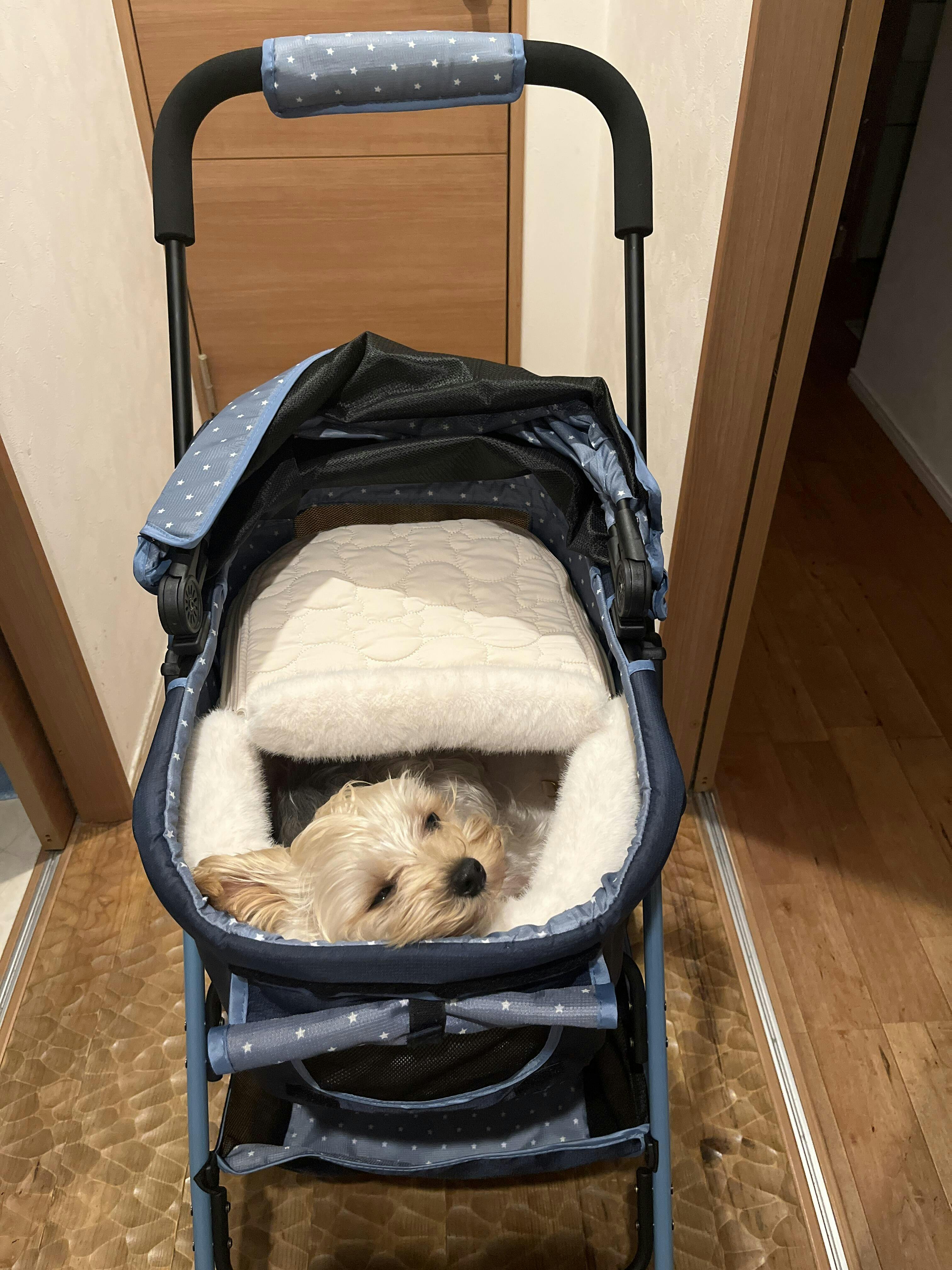 バシネット SNOW DOME、チェスナッツブラウン