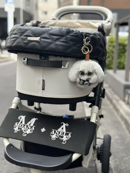 コンフォーター DIA、Coconut Milk ココナッツミルク