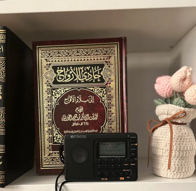 Customer photo of the Hasanat Radio