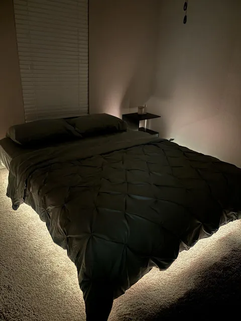 Hasuit | Floating Bed Frame with LED Lights Metal Platform Bed No Box Spring Needed Black Six Sizes