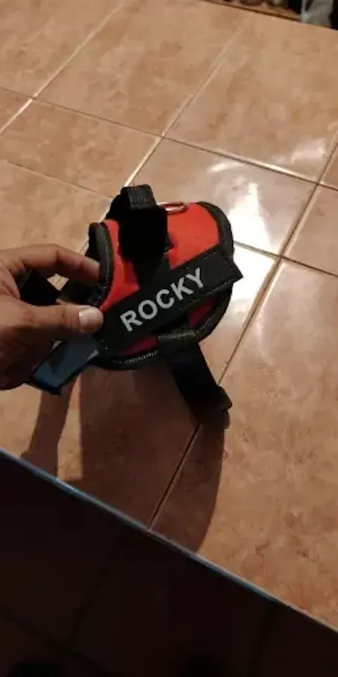 Personalized Reflective Dog Harness