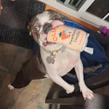 User picture