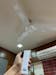 HAVAI Spinel BLDC Ceiling Fan 28W, 1200mm Blade with Remote - SUPER WHITE