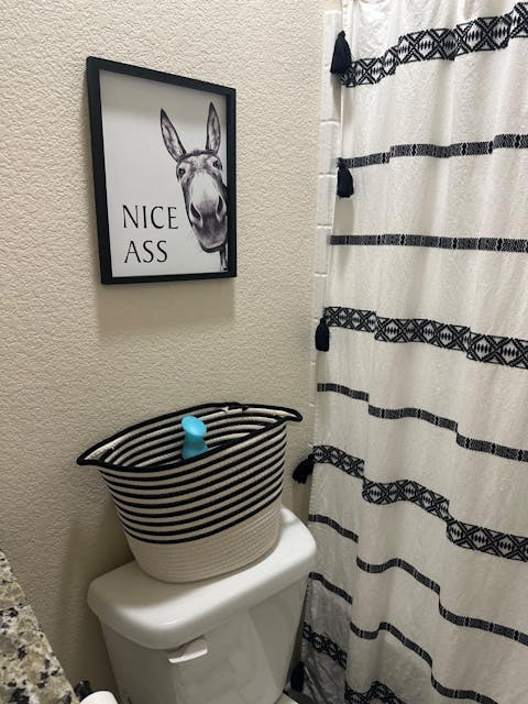 The "Nice Ass" Cheeky Donkey Bathroom Canvas Art