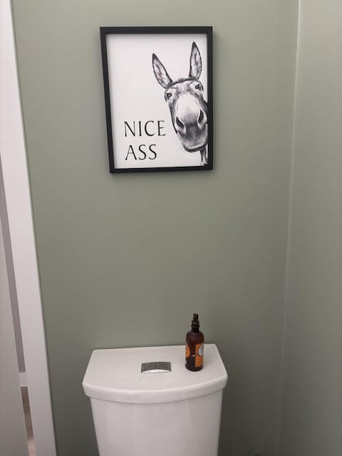 The "Nice Ass" Cheeky Donkey Bathroom Canvas Art