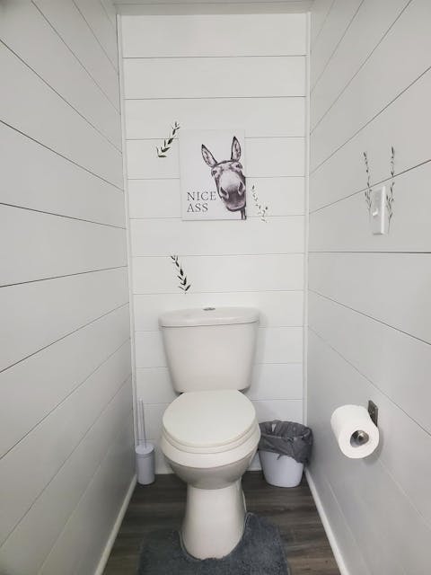 The "Nice Ass" Cheeky Donkey Bathroom Canvas Art