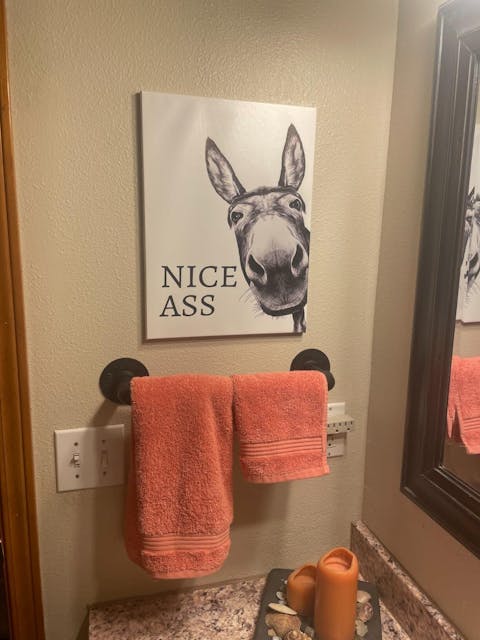 The "Nice Ass" Cheeky Donkey Bathroom Canvas Art