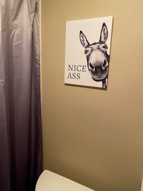 The "Nice Ass" Cheeky Donkey Bathroom Canvas Art