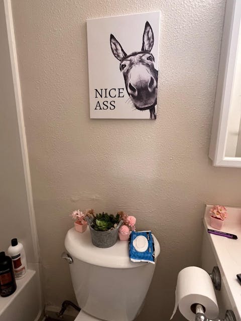 The "Nice Ass" Cheeky Donkey Bathroom Canvas Art