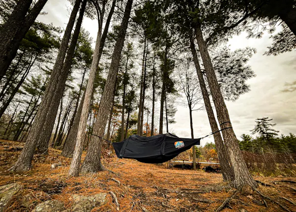 Alex Catherwood's Hawk Nest setup