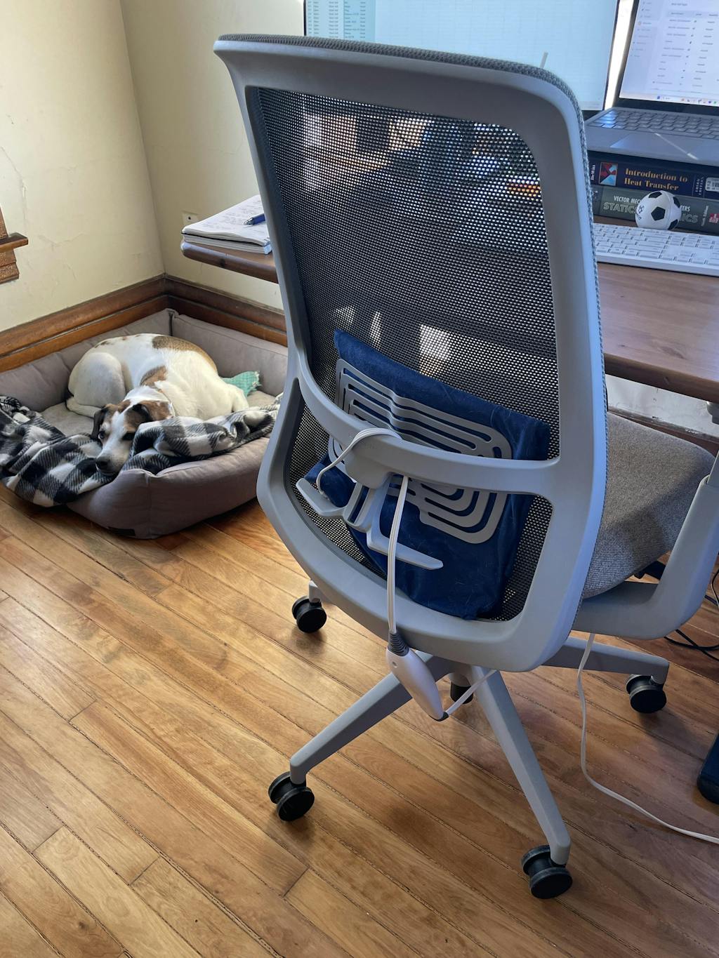 Soji Mesh and Leather Office Chairs Haworth Store