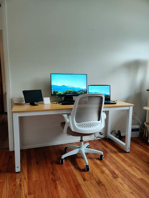 HBADA Penguin-inspired Office Chair -J1
